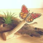 流木グリーンスタンド