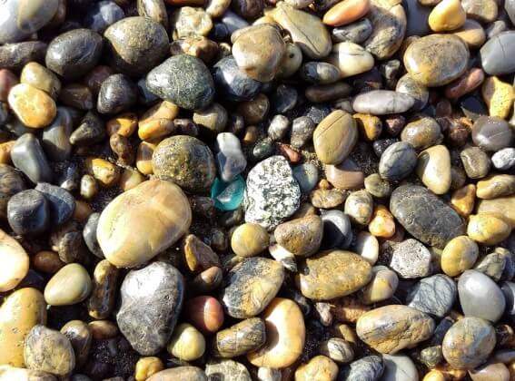 浜辺のシーグラス