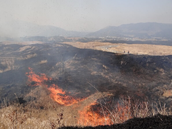 野焼きで真っ黒