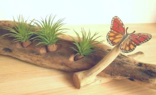 流木グリーンスタンド